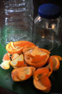 orangepeels
