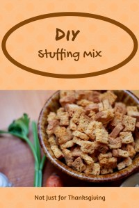 DIY Stuffing Mix